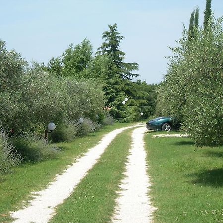 Vista Assisi Bed & Breakfast Exterior photo