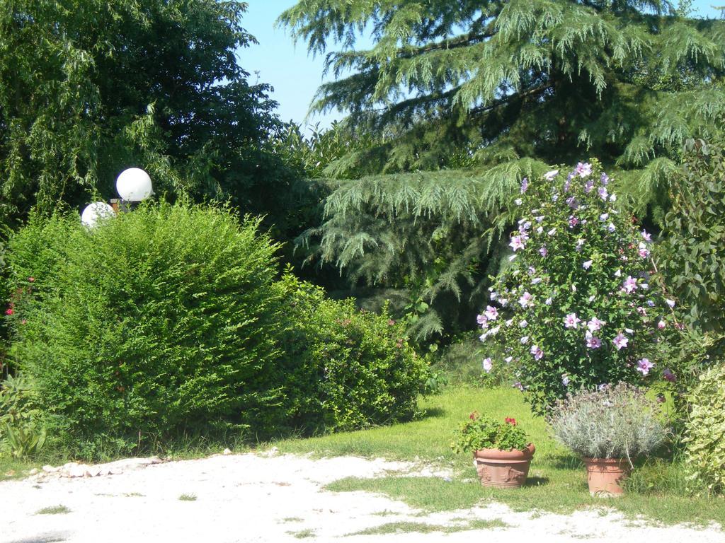 Vista Assisi Bed & Breakfast Exterior photo