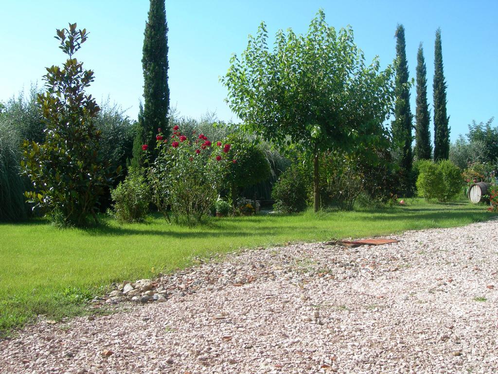 Vista Assisi Bed & Breakfast Exterior photo