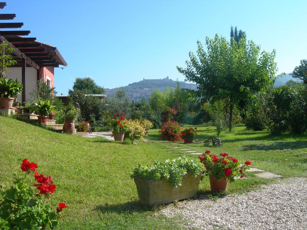 Vista Assisi Bed & Breakfast Exterior photo