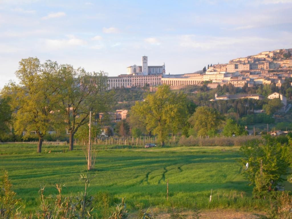 Vista Assisi Bed & Breakfast Exterior photo