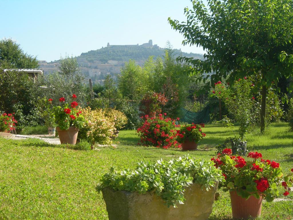Vista Assisi Bed & Breakfast Exterior photo