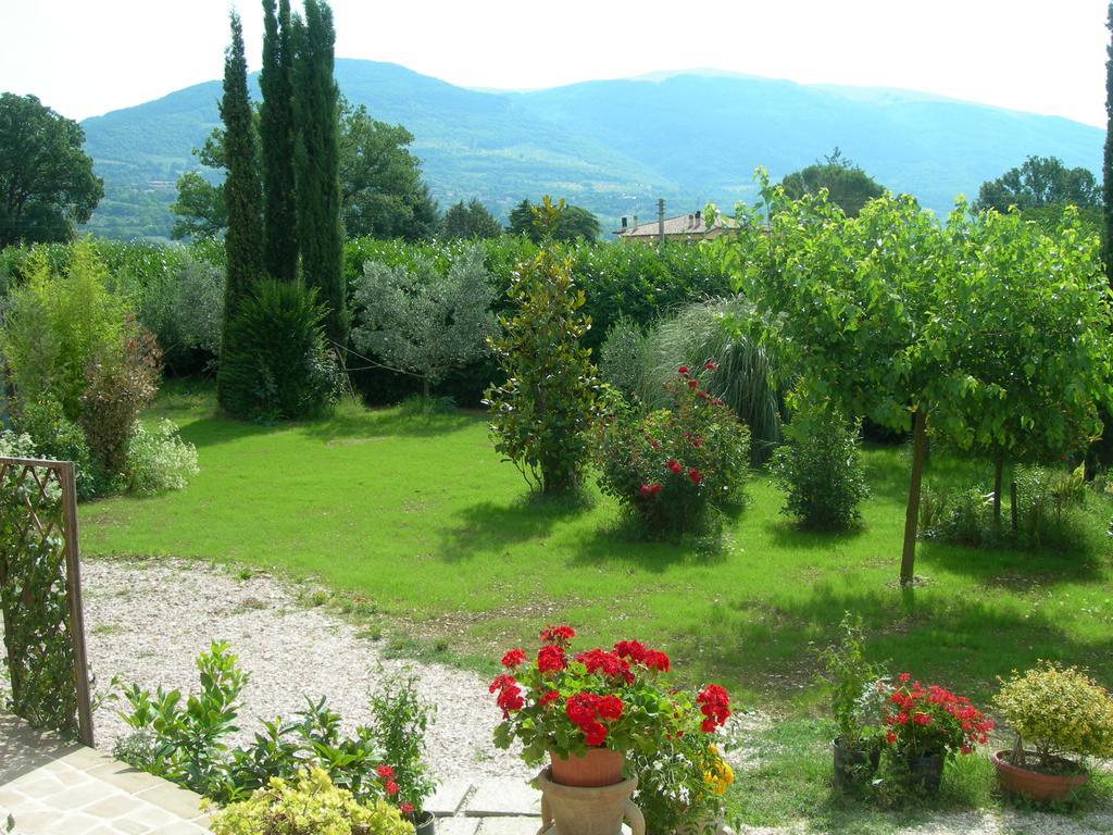 Vista Assisi Bed & Breakfast Exterior photo