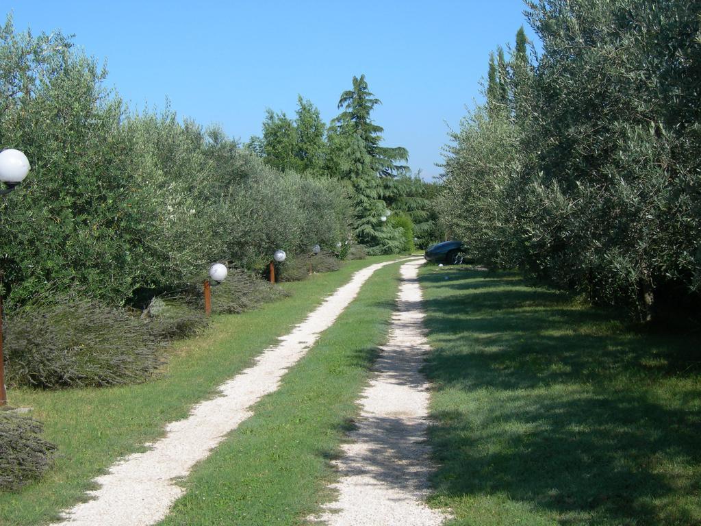 Vista Assisi Bed & Breakfast Exterior photo